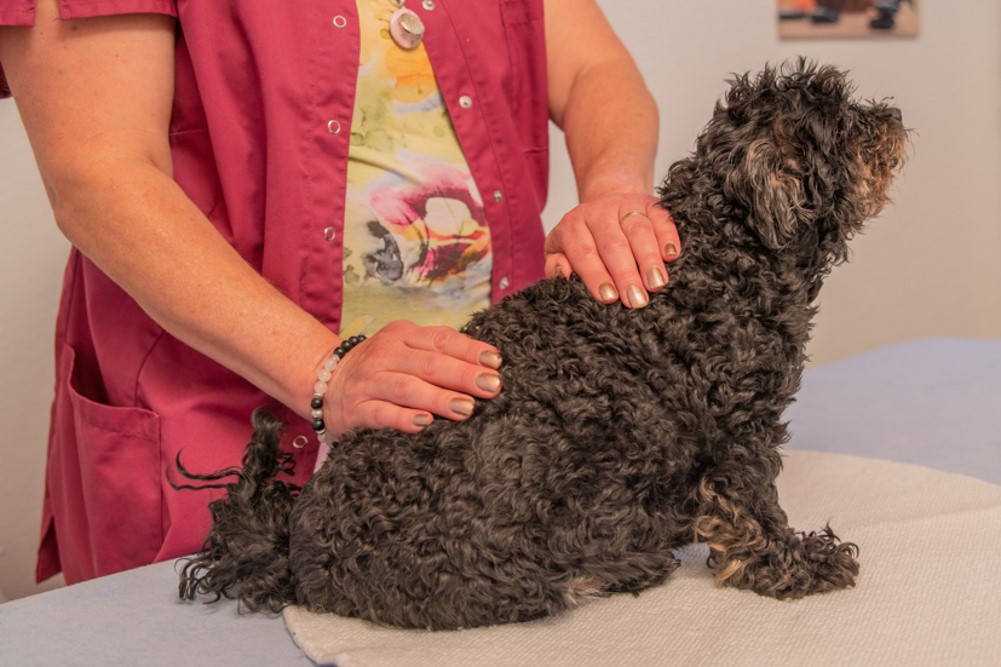 Reiki mit Aaron